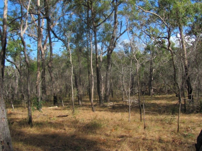 Lot 2 Coast Road, Baffle Creek QLD 4674