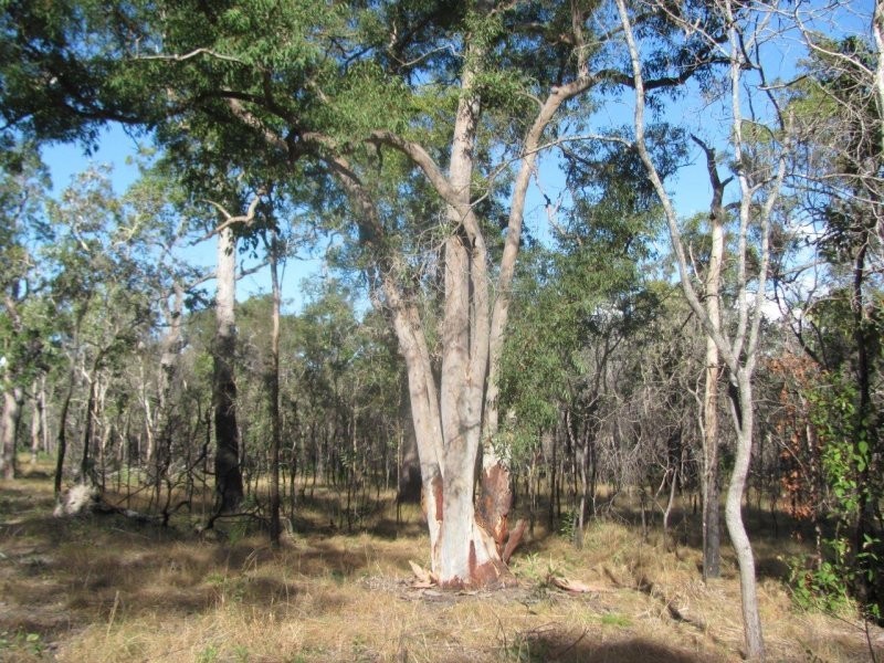 Lot 2 Coast Road, Baffle Creek QLD 4674