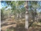 Lot 2 Coast Road, Baffle Creek QLD 4674