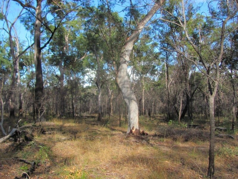 Lot 2 Coast Road, Baffle Creek QLD 4674