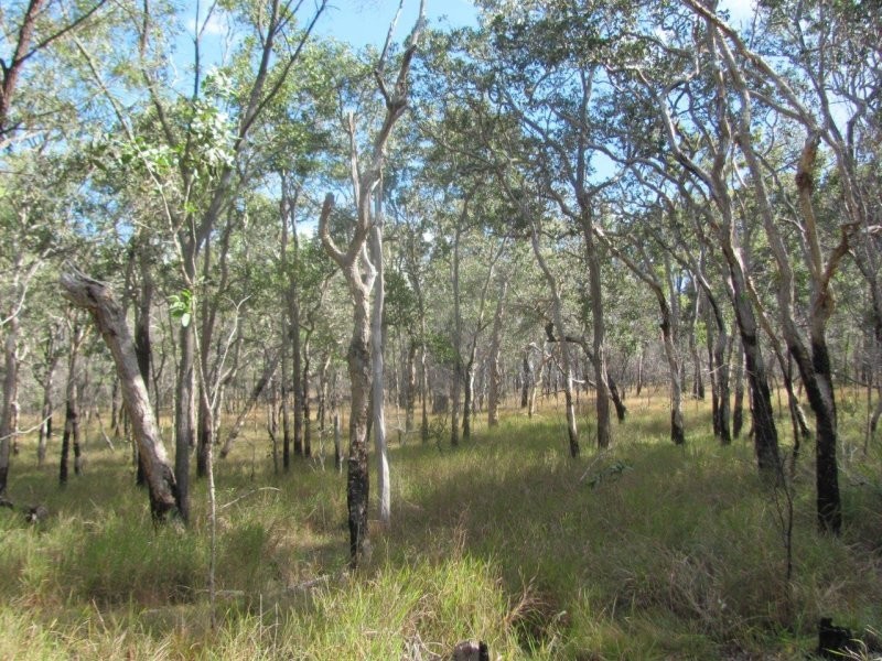 Lot 2 Coast Road, Baffle Creek QLD 4674