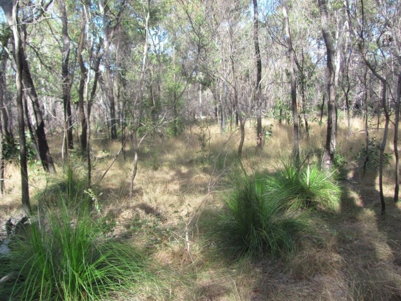 Lot 2 Coast Road, Baffle Creek QLD 4674