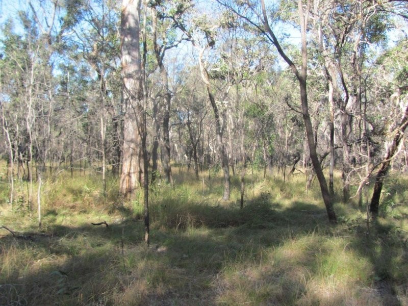 Lot 2 Coast Road, Baffle Creek QLD 4674