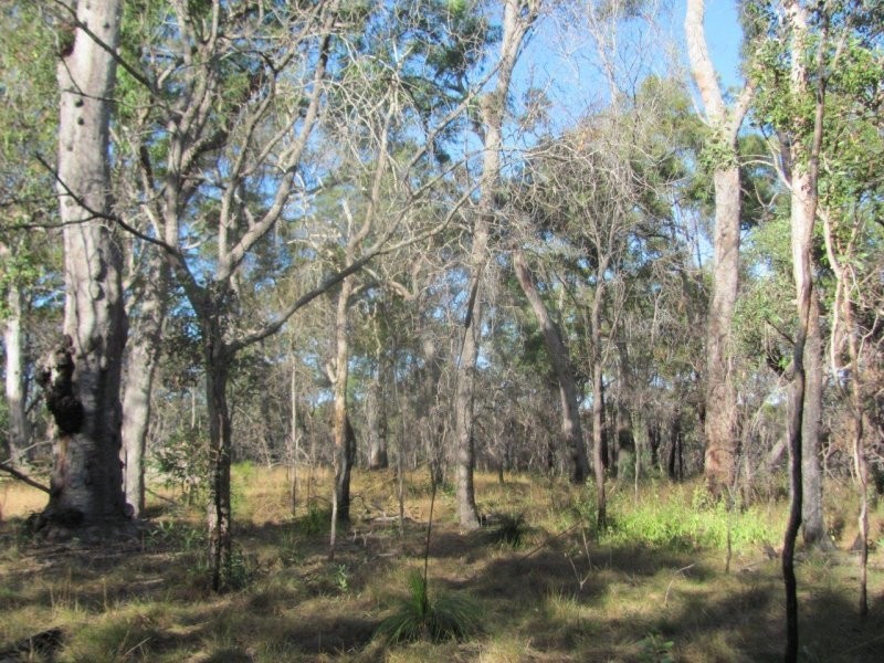Lot 2 Coast Road, Baffle Creek QLD 4674