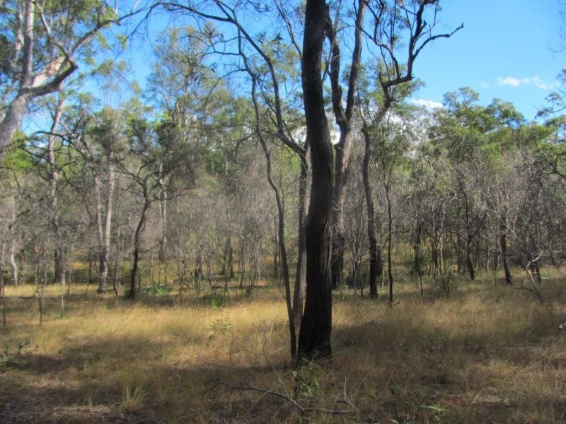 Lot 2 Coast Road, Baffle Creek QLD 4674