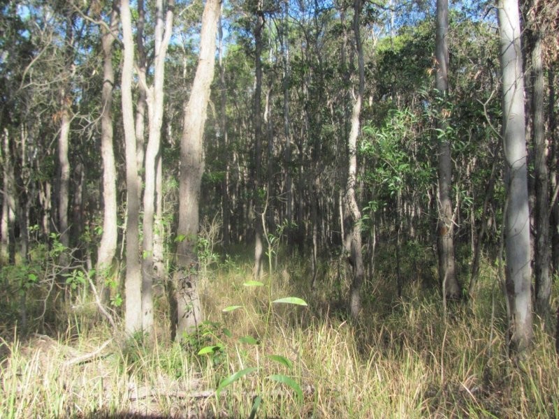 Lot 2 Coast Road, Baffle Creek QLD 4674