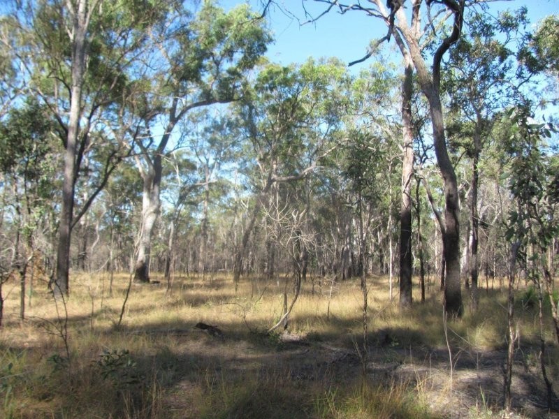 Lot 2 Coast Road, Baffle Creek QLD 4674