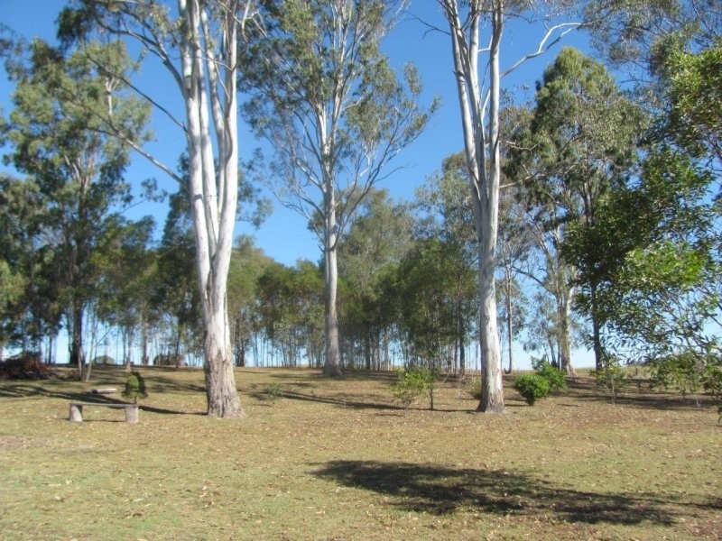 54 Halford Drive, Maroondan QLD 4671