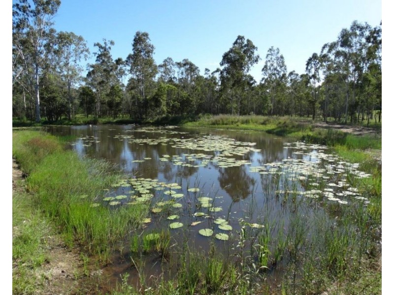 124 Taunton Road, Euleilah QLD 4674