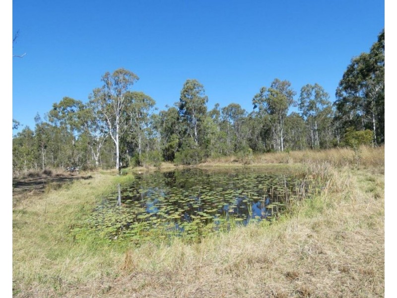 124 Taunton Road, Euleilah QLD 4674