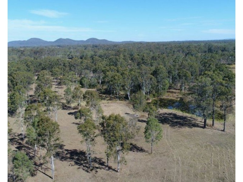 124 Taunton Road, Euleilah QLD 4674