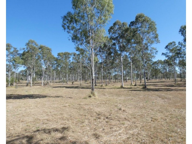 124 Taunton Road, Euleilah QLD 4674