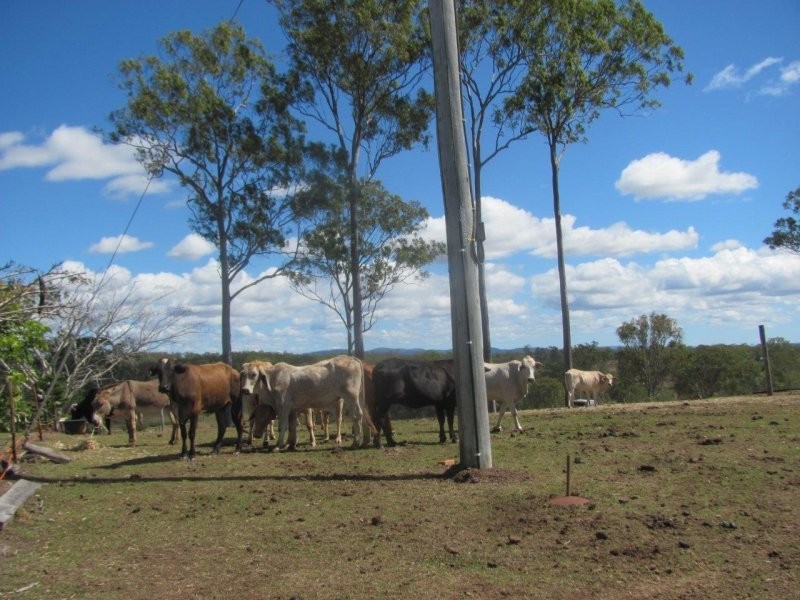 Lot 4 Diamond Hill Road, Rosedale QLD 4674