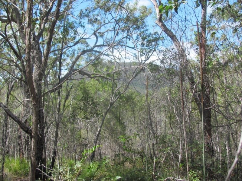 Lot 7 Tableland Road, Mount Maria QLD 4674