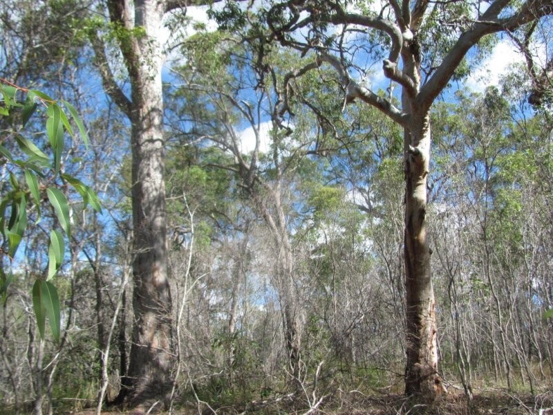 Lot 7 Tableland Road, Mount Maria QLD 4674