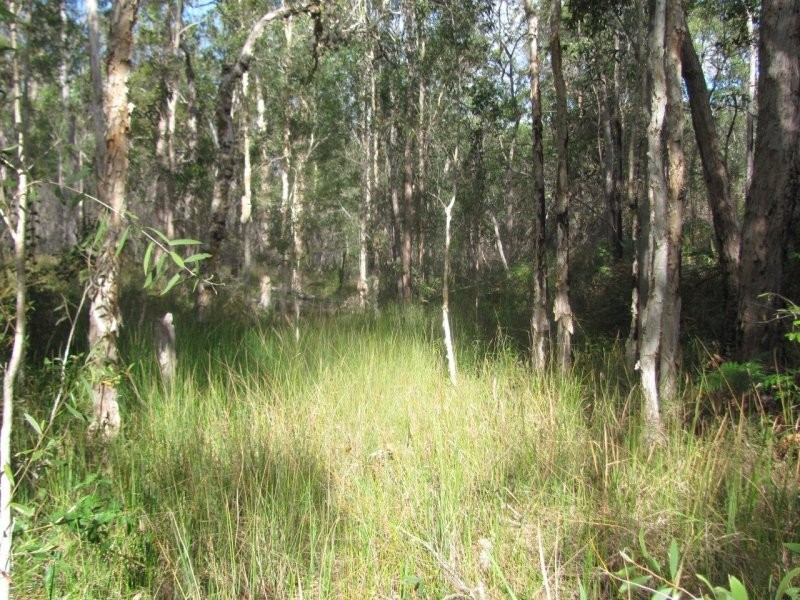 Lot 7 Tableland Road, Mount Maria QLD 4674