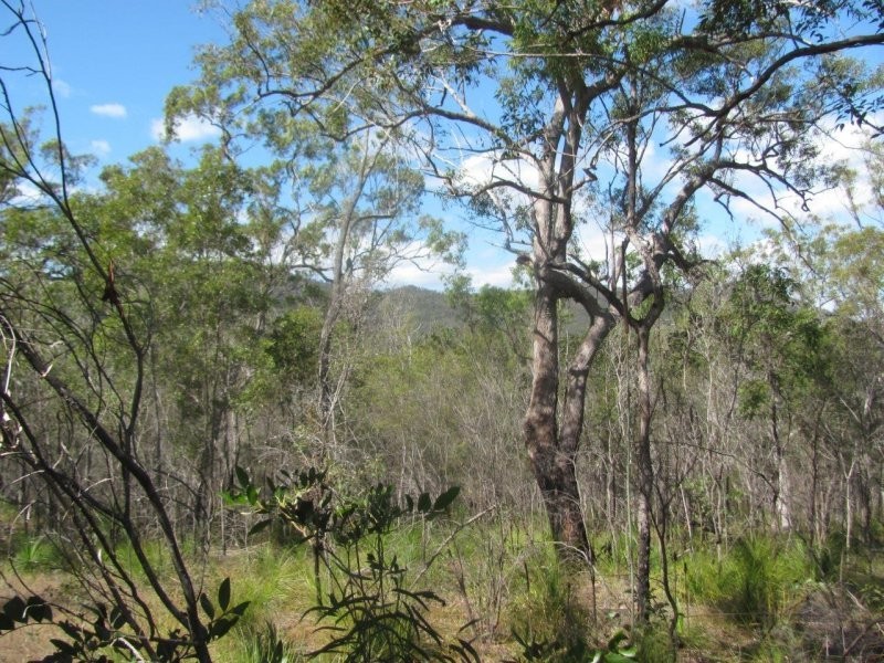 Lot 7 Tableland Road, Mount Maria QLD 4674
