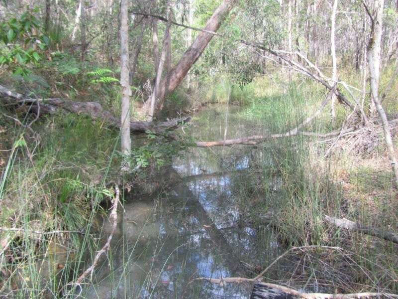 Lot 7 Tableland Road, Mount Maria QLD 4674