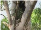 Lot 7 Tableland Road, Mount Maria QLD 4674