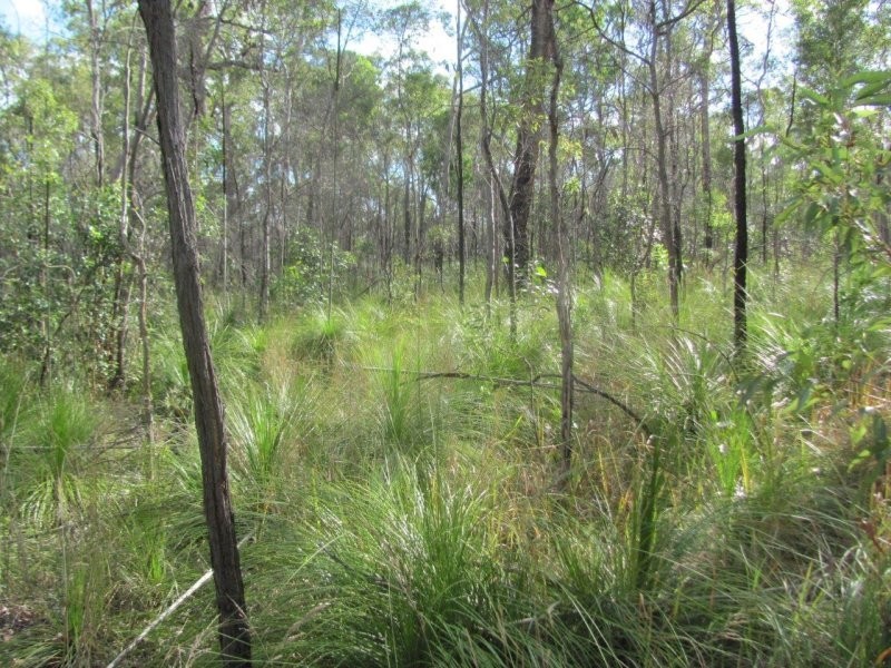 Lot 7 Tableland Road, Mount Maria QLD 4674