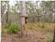Lot 7 Tableland Road, Mount Maria QLD 4674