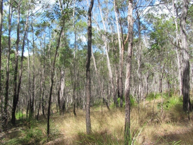 Lot 7 Tableland Road, Mount Maria QLD 4674