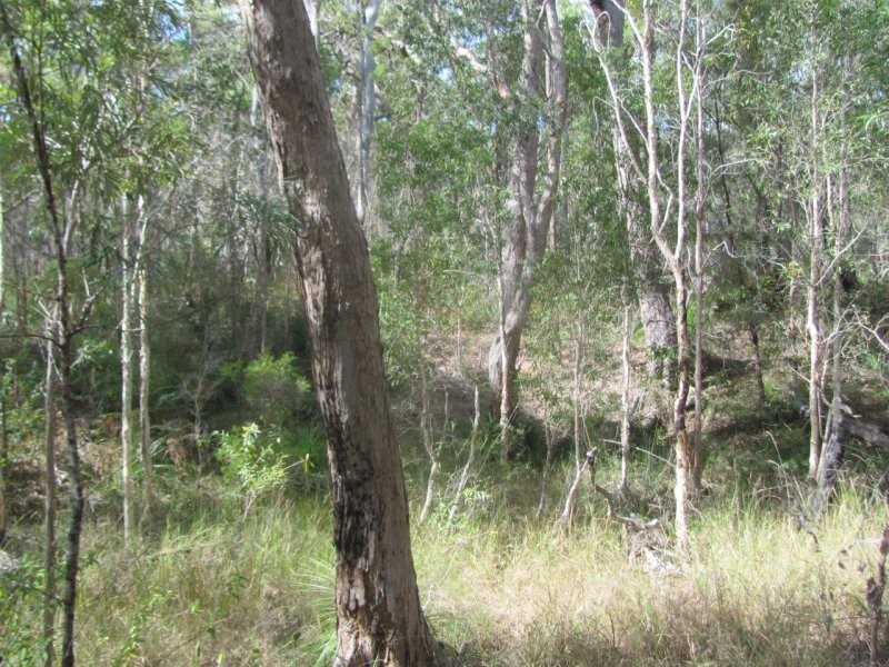 Lot 7 Tableland Road, Mount Maria QLD 4674