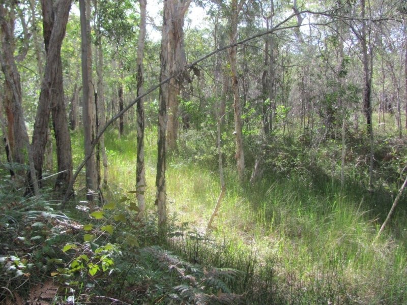 Lot 7 Tableland Road, Mount Maria QLD 4674