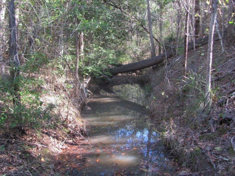 572 Mineral Road, Rosedale QLD 4674