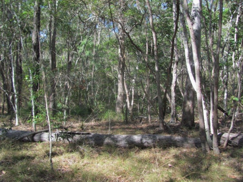 572 Mineral Road, Rosedale QLD 4674