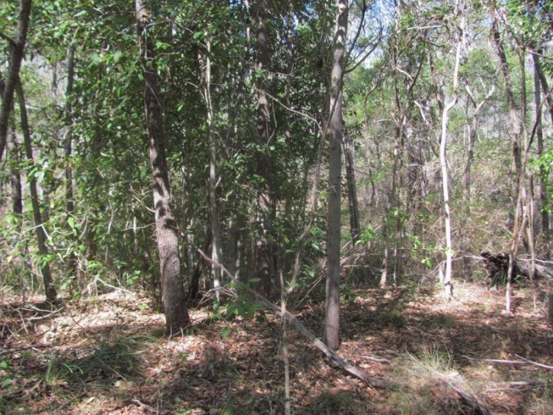 572 Mineral Road, Rosedale QLD 4674