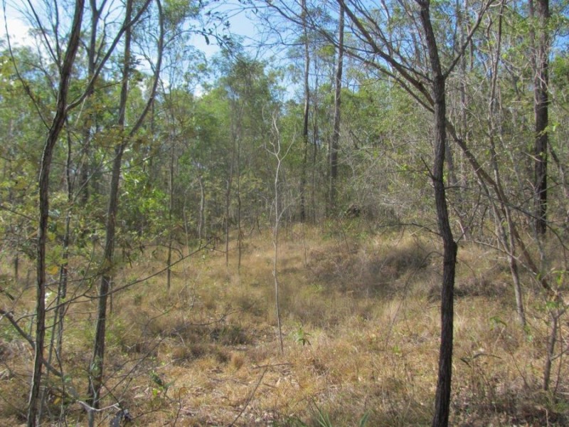 572 Mineral Road, Rosedale QLD 4674