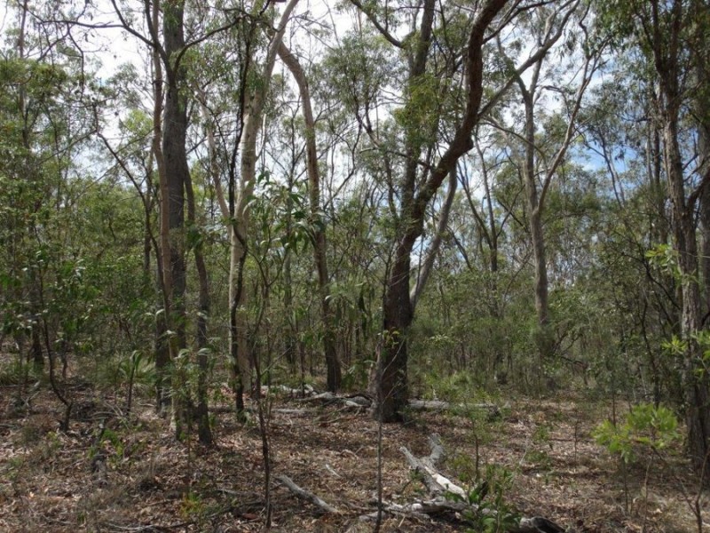 572 Mineral Road, Rosedale QLD 4674