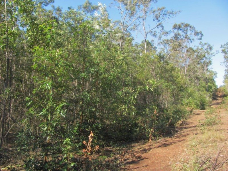 572 Mineral Road, Rosedale QLD 4674