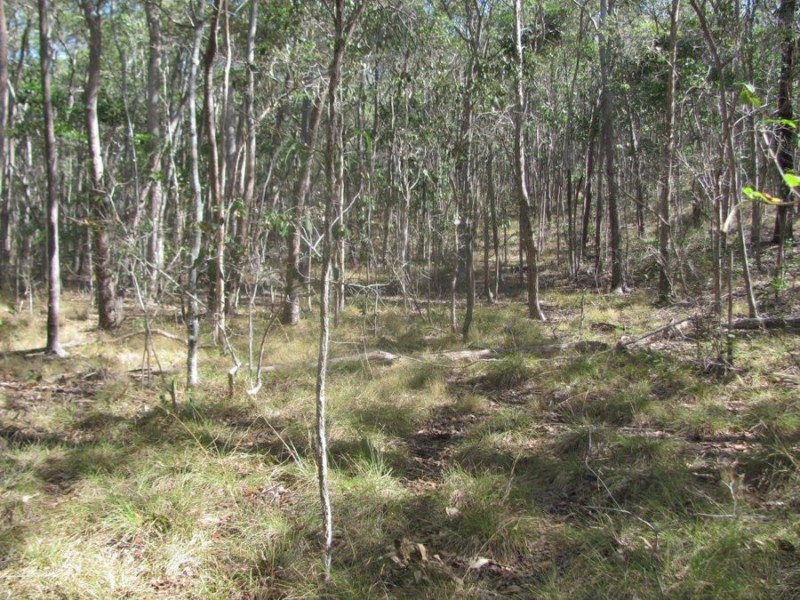 572 Mineral Road, Rosedale QLD 4674