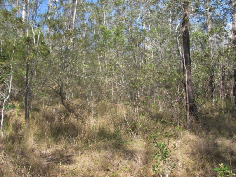 572 Mineral Road, Rosedale QLD 4674