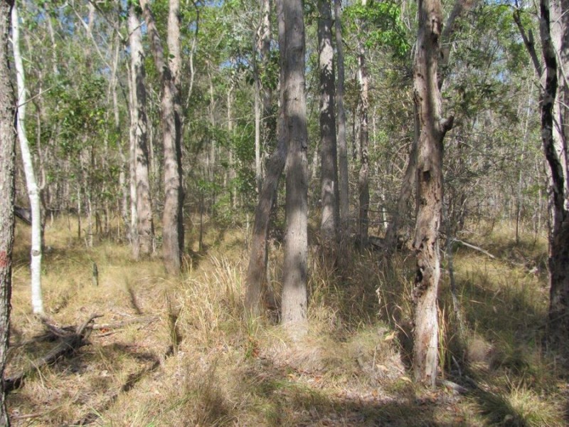 572 Mineral Road, Rosedale QLD 4674