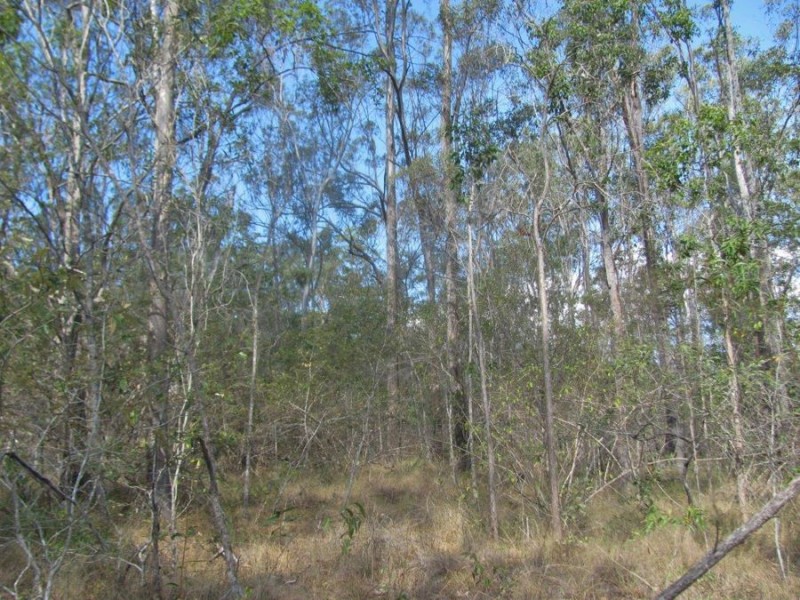 572 Mineral Road, Rosedale QLD 4674