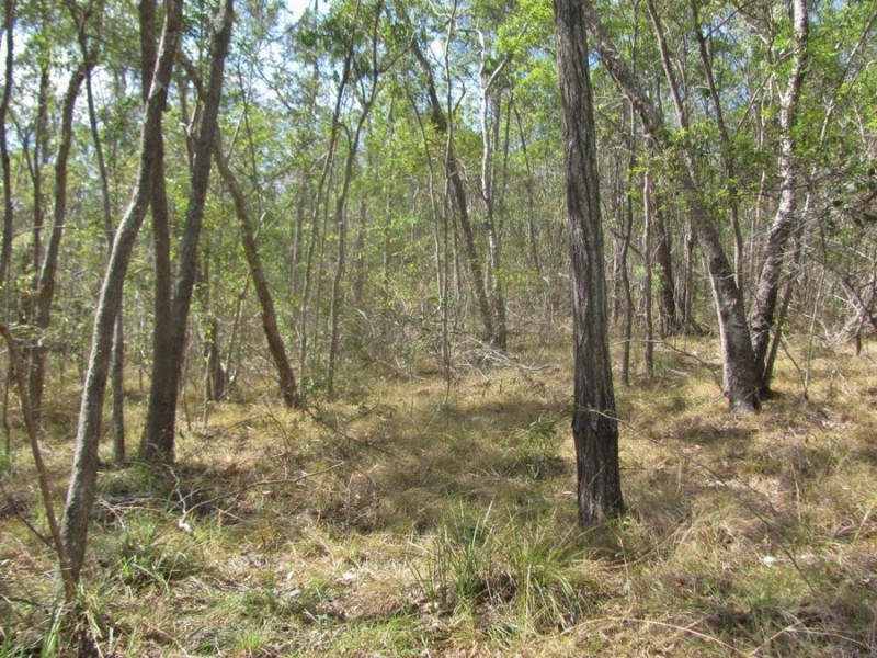 572 Mineral Road, Rosedale QLD 4674