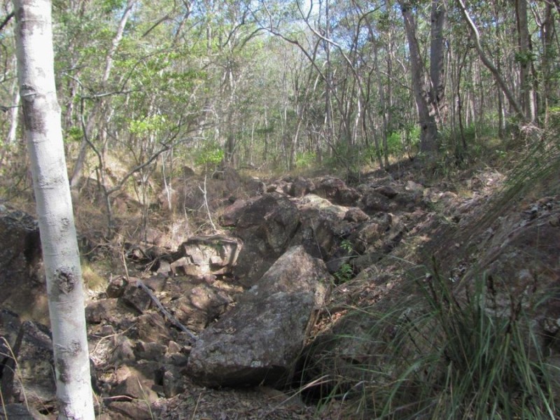 572 Mineral Road, Rosedale QLD 4674