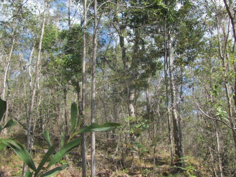 572 Mineral Road, Rosedale QLD 4674