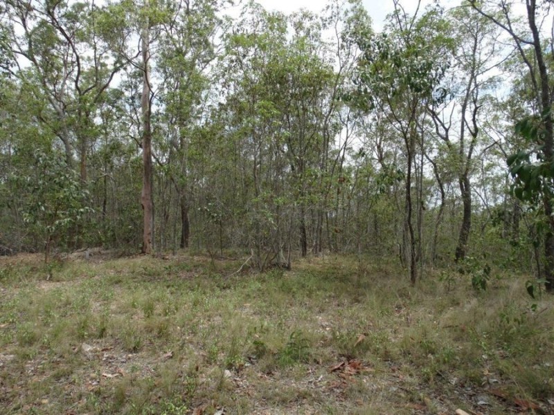 572 Mineral Road, Rosedale QLD 4674