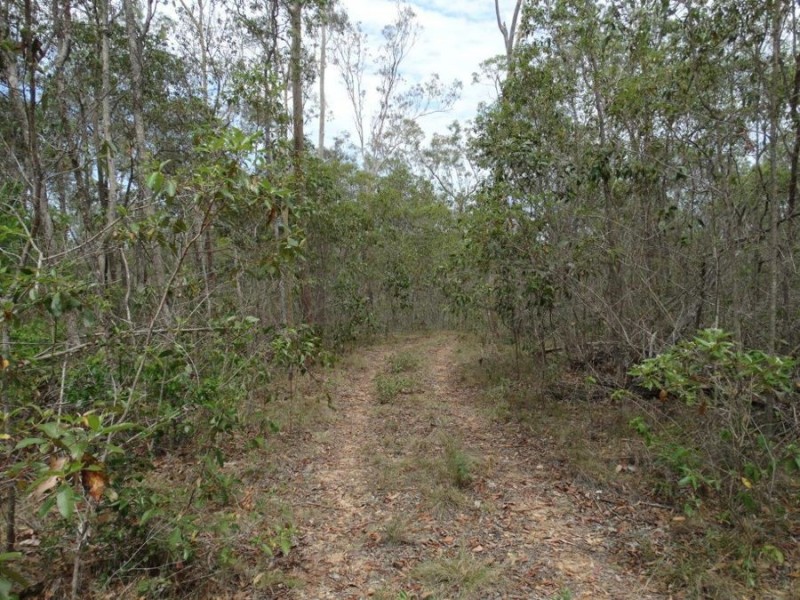 572 Mineral Road, Rosedale QLD 4674