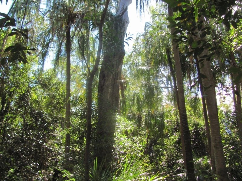 Lot 97 Gorge Road, Lowmead QLD 4676