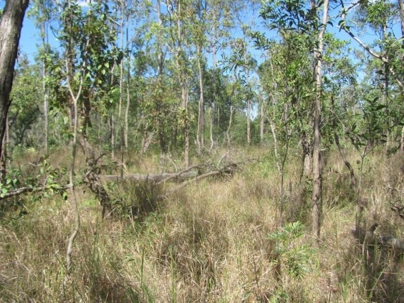 Lot 97 Gorge Road, Lowmead QLD 4676