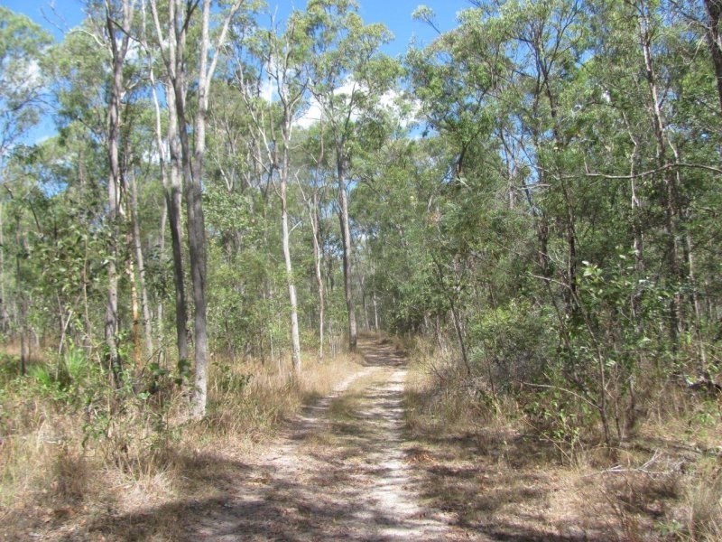 Lot 97 Gorge Road, Lowmead QLD 4676