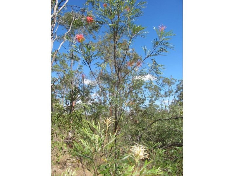 Lot 97 Gorge Road, Lowmead QLD 4676