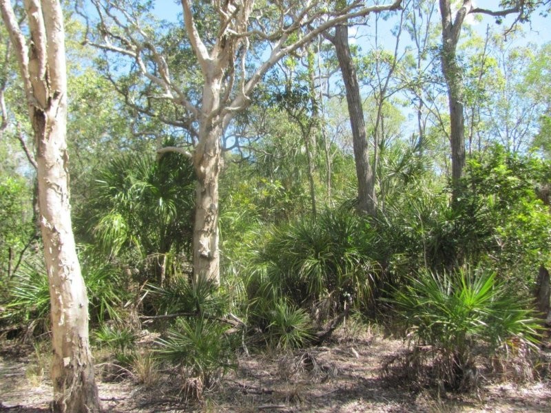 Lot 97 Gorge Road, Lowmead QLD 4676