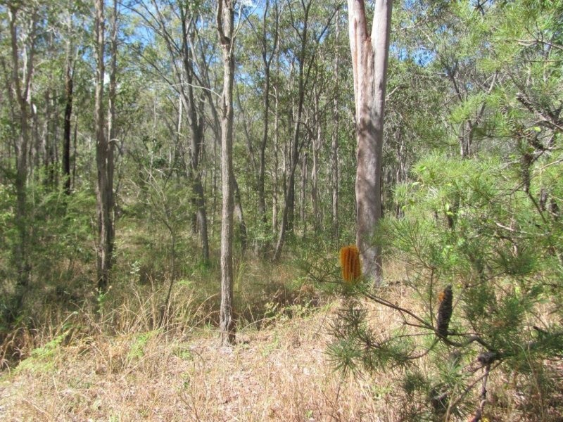 Lot 97 Gorge Road, Lowmead QLD 4676