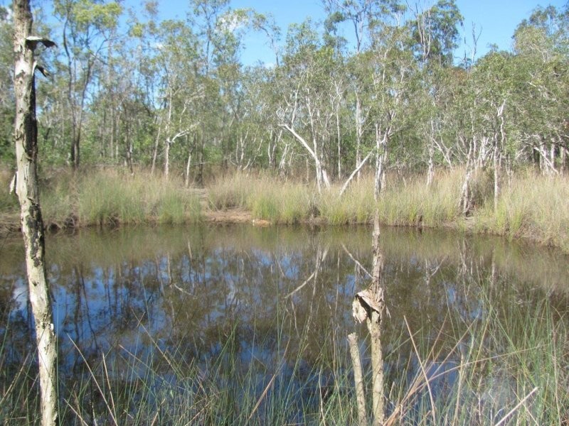 Lot 97 Gorge Road, Lowmead QLD 4676